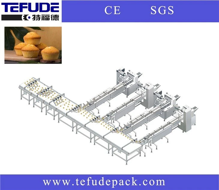 pia cake automatic feeding and packing line automatic feeding packing line solution